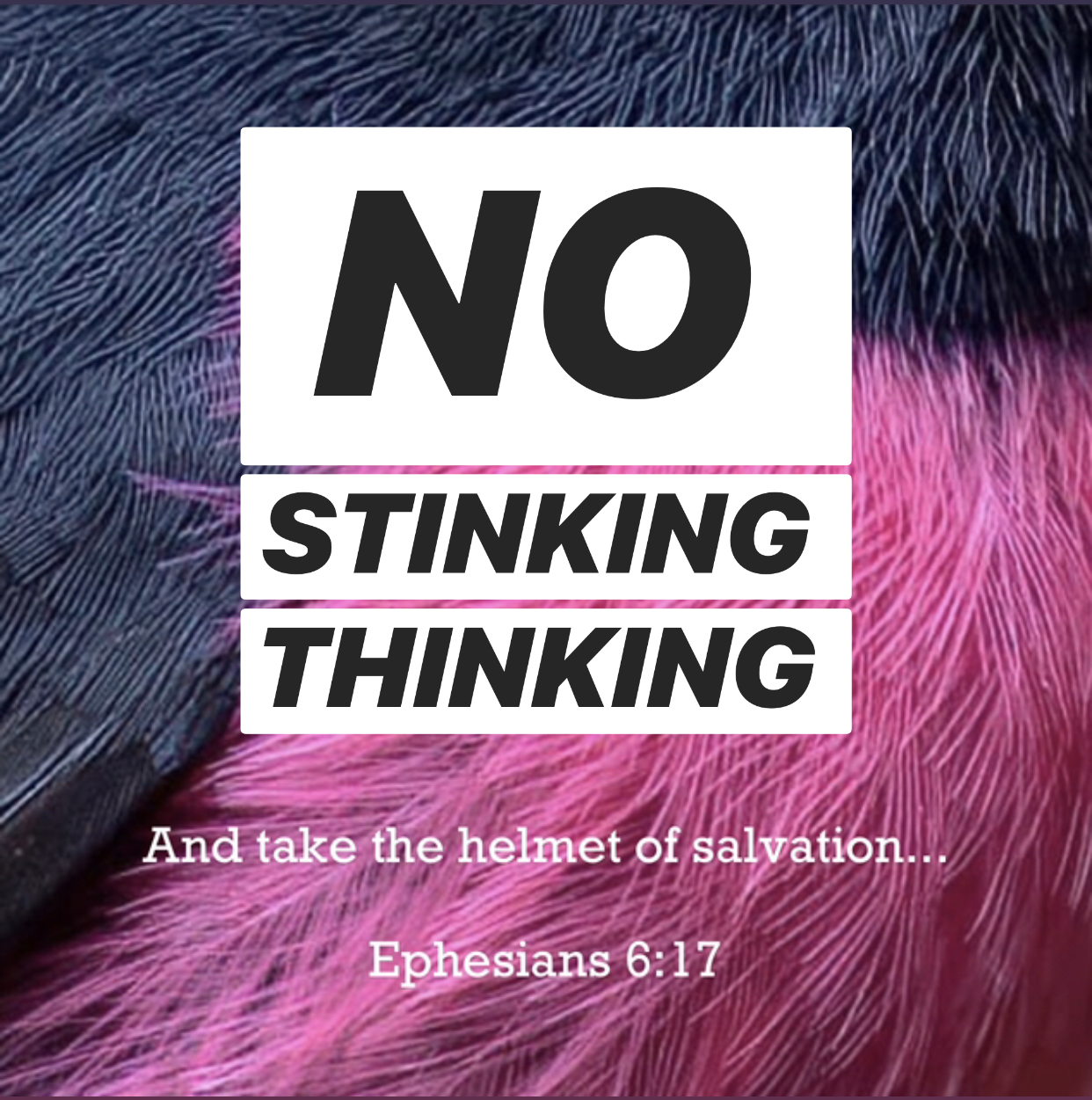 NO STINKING THINKING! (pt. 1) – Complete in Him