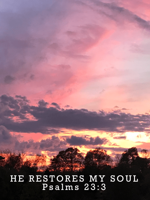 PNG image-8EE275790012-1